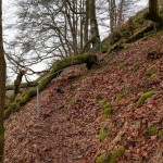 2018-01-27-Rauher-Kulm-003