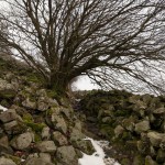 2018-01-27-Rauher-Kulm-007