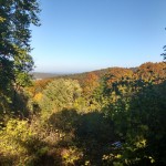 2018-10-13-Felsensteig-005