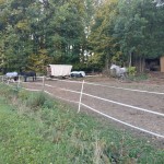 2018-10-13-Felsensteig-011