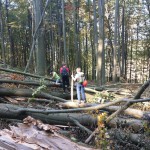 2018-10-13-Felsensteig-016