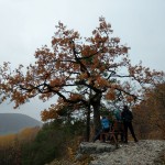 2018-11-10-Houbirg-008