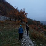 2018-11-10-Houbirg-010