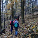 2018-11-10-Houbirg-011