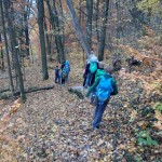 2018-11-10-Houbirg-013