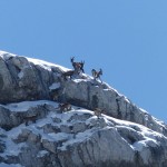 Julische-Alpen-2018-04