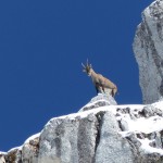 Julische-Alpen-2018-07