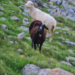 2024-08-Langtalereck-09