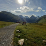 2024-08-Langtalereck-16